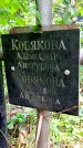 Захоронение ID 1279705