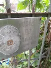 Захоронение ID 1279737