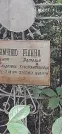 Захоронение ID 1279820