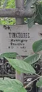 Захоронение ID 1279822