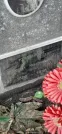 Захоронение ID 1279915