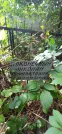Захоронение ID 1279960