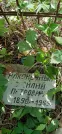 Захоронение ID 1279961