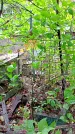 Захоронение ID 1279979