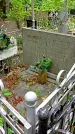 Захоронение ID 1279987