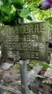 Захоронение ID 1280006