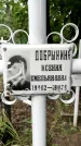 Захоронение ID 1280016