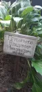 Захоронение ID 1280023