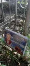 Захоронение ID 1280036