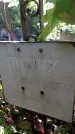 Захоронение ID 1280080