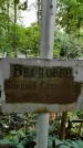 Захоронение ID 1280174