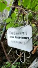 Захоронение ID 1280193