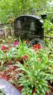 Захоронение ID 1280228