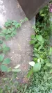 Захоронение ID 1280240