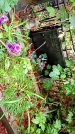 Захоронение ID 1280254