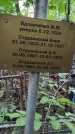 Захоронение ID 1280268