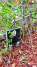 Захоронение ID 1280272
