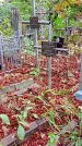 Захоронение ID 1280283