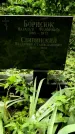 Захоронение ID 1280329