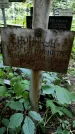 Захоронение ID 1280345