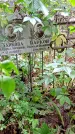 Захоронение ID 1280377