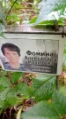 Захоронение ID 1280382