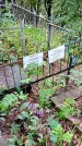 Захоронение ID 1280386