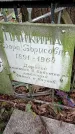 Захоронение ID 1280400