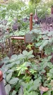 Захоронение ID 1280476