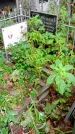 Захоронение ID 1280504