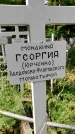 Захоронение ID 1280528
