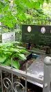 Захоронение ID 1280551