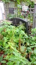 Захоронение ID 1280552