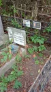 Захоронение ID 1280564