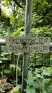 Захоронение ID 1280603