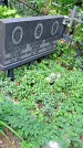 Захоронение ID 1280606