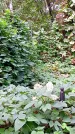 Захоронение ID 1280613
