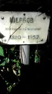 Захоронение ID 1280670