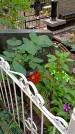 Захоронение ID 1280720