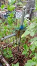 Захоронение ID 1280782