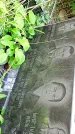 Захоронение ID 1280805