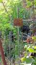 Захоронение ID 1280809