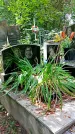 Захоронение ID 1280816