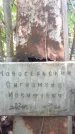 Захоронение ID 1280848