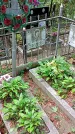Захоронение ID 1280924