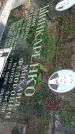 Захоронение ID 1280930