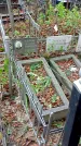 Захоронение ID 1280982