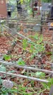 Захоронение ID 1280999