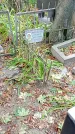 Захоронение ID 1281013