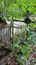 Захоронение ID 1281124